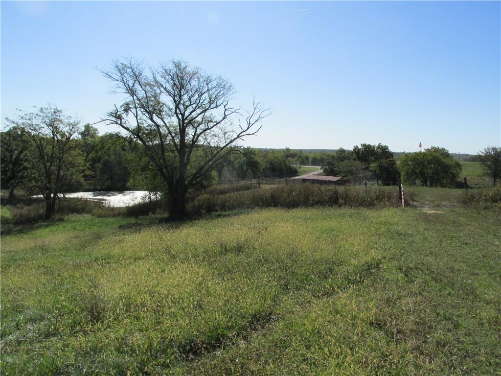 Listing Photo MLS #HMS2458702