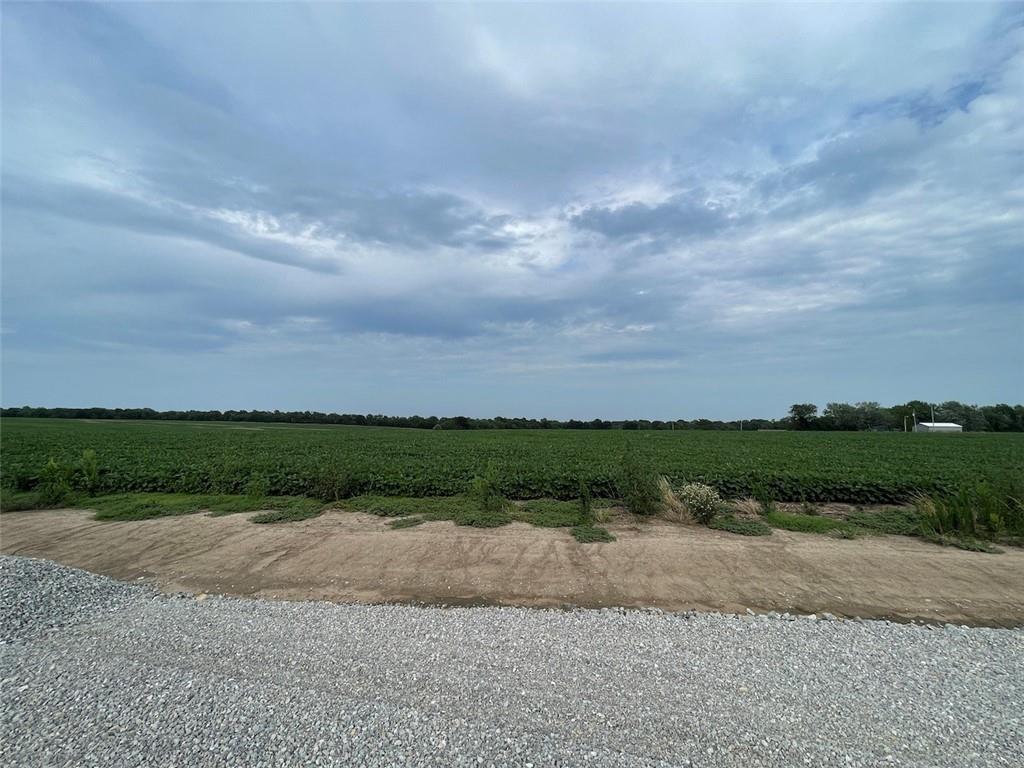 Listing Photo MLS #HMS2492618