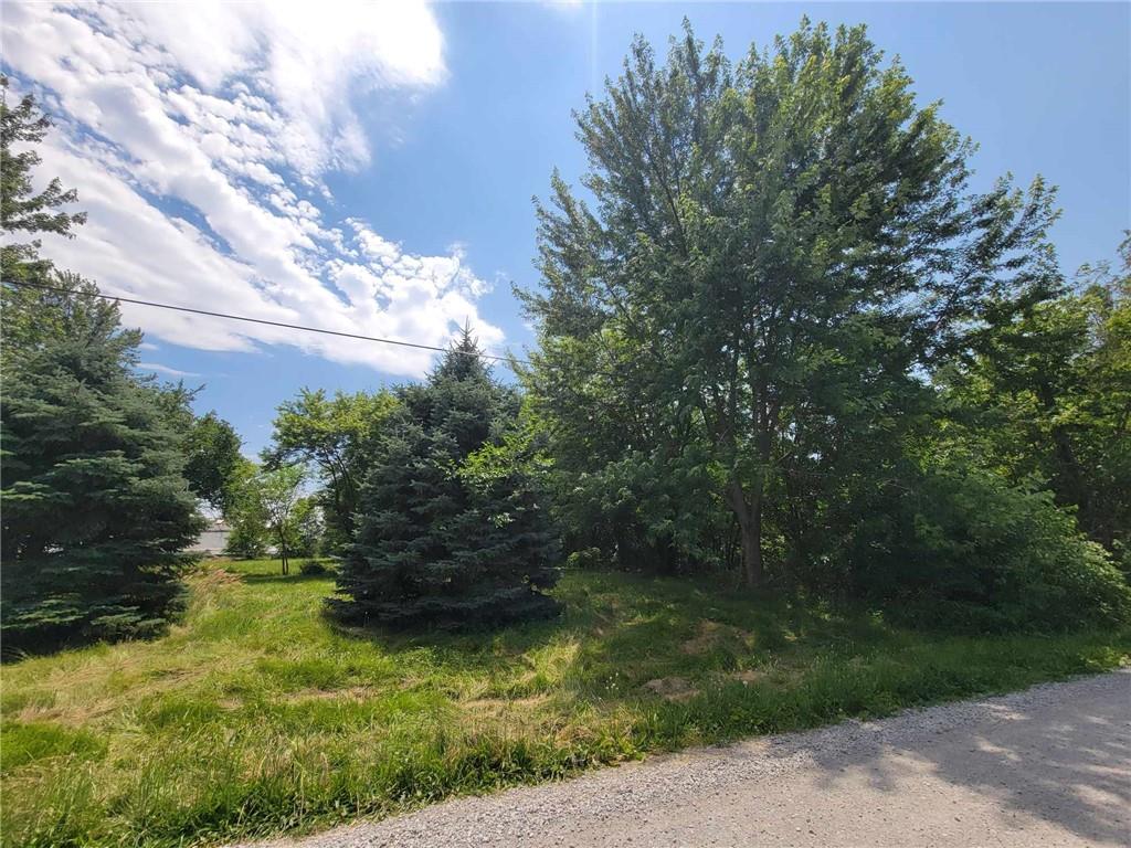 Listing Photo MLS #HMS2494380