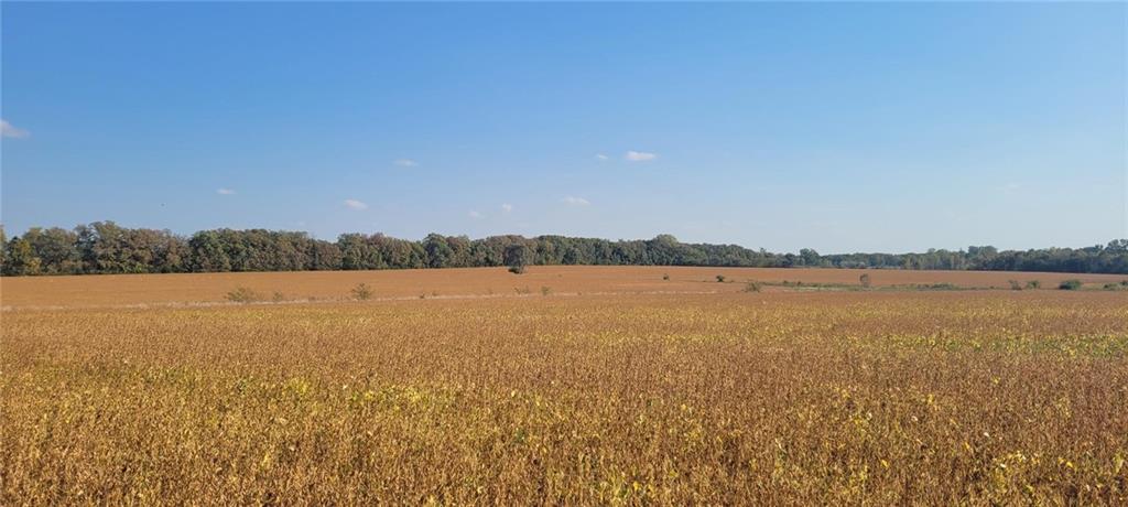 Listing Photo MLS #HMS2499074