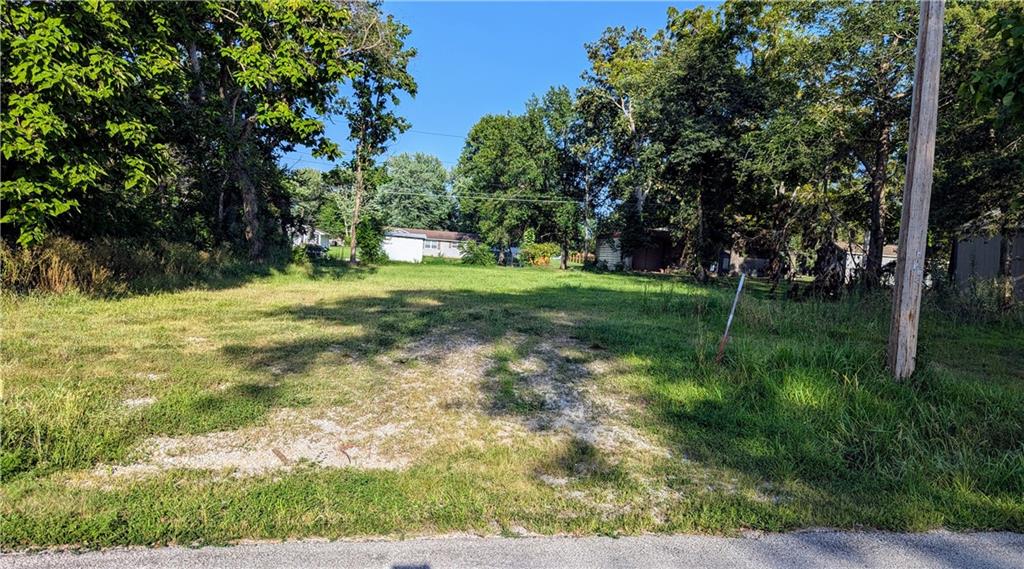 Listing Photo MLS #HMS2502619