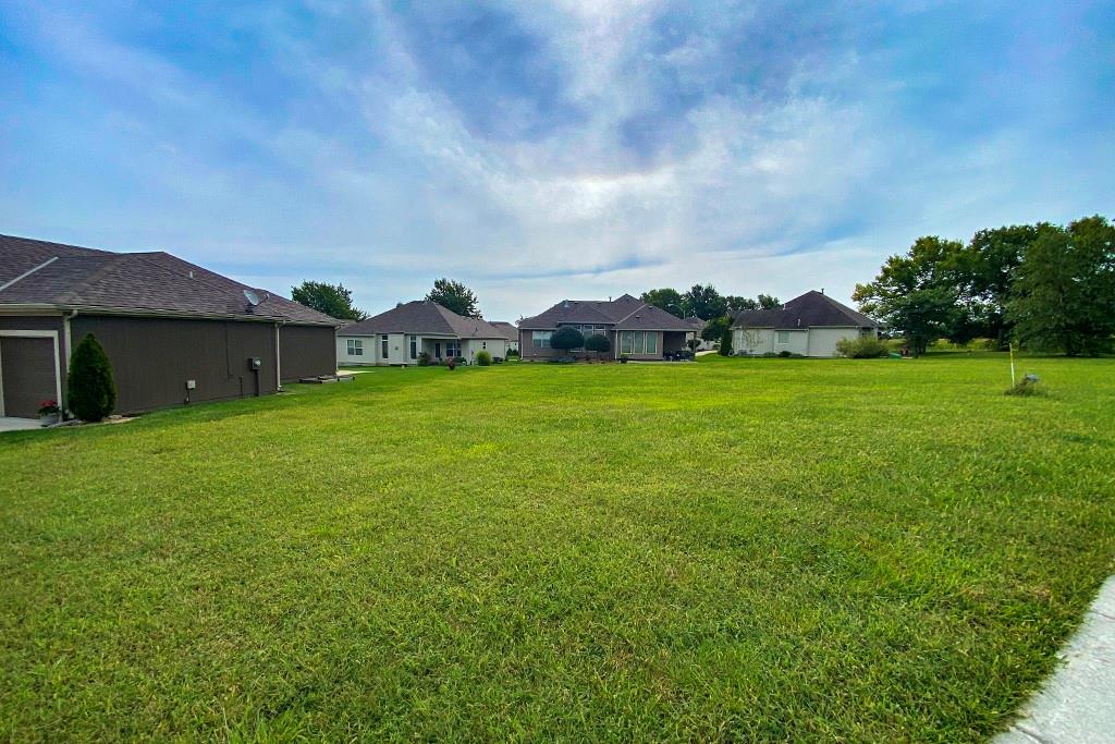 Listing Photo MLS #HMS2505861