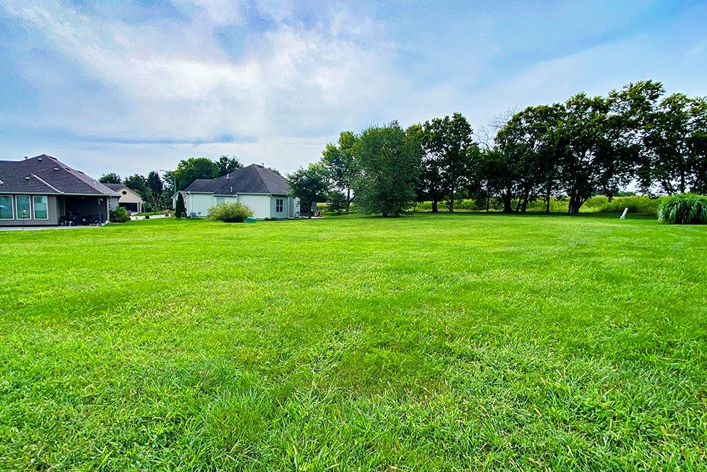 Listing Photo MLS #HMS2505862