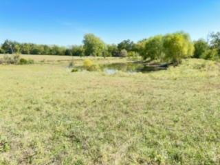 Listing Photo MLS #HMS2512741