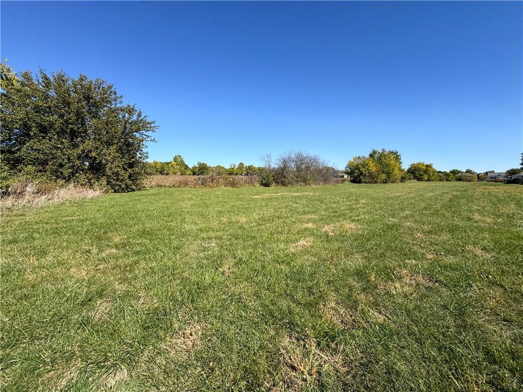 Listing Photo MLS #HMS2513341