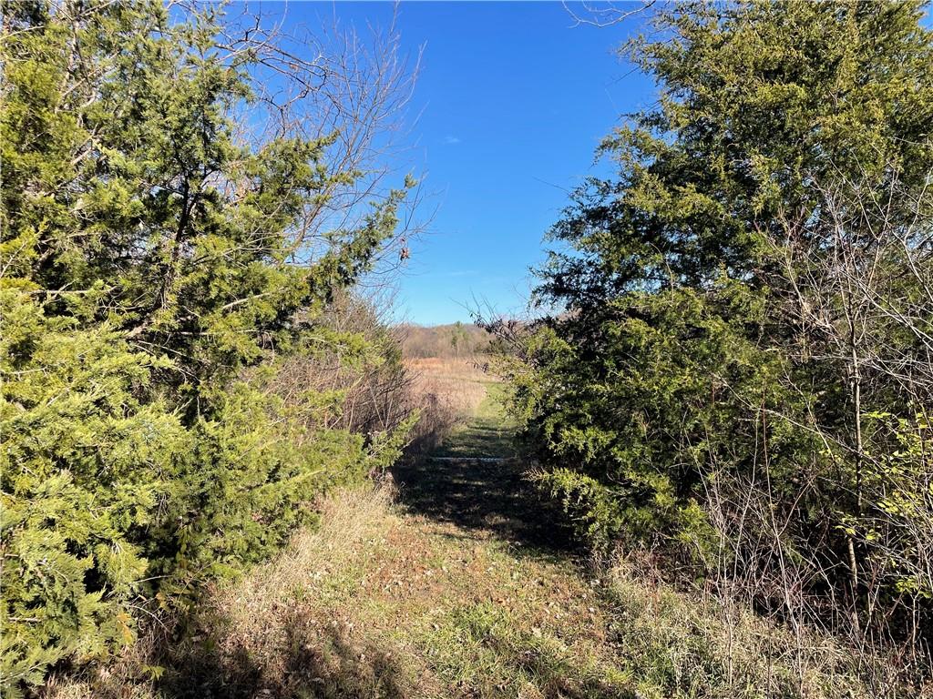 Listing Photo MLS #HMS2521426