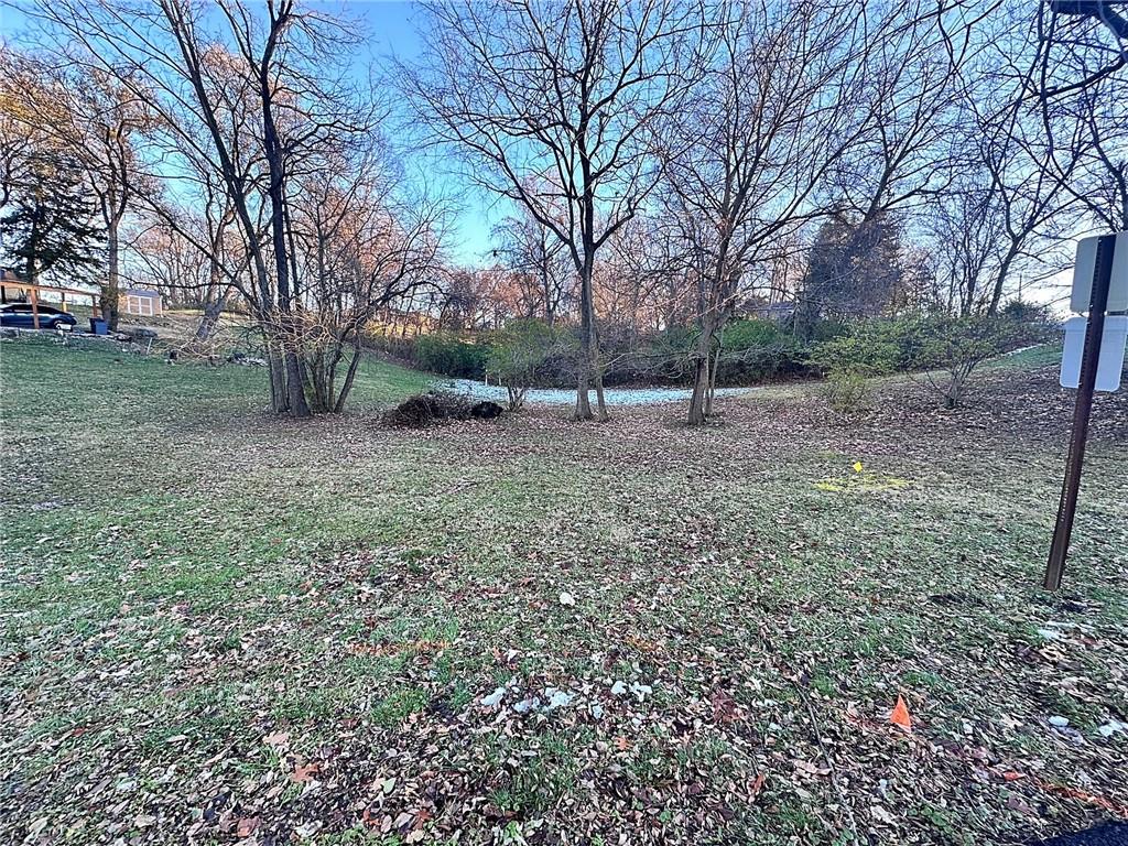 Listing Photo MLS #HMS2522094