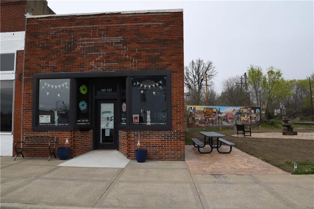Listing Photo MLS #HMS2524734