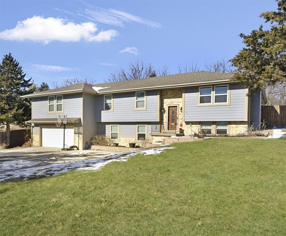 Listing Photo MLS #HMS2527593