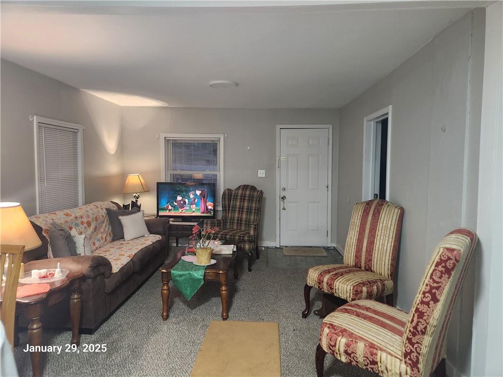 Listing Photo MLS #HMS2528317