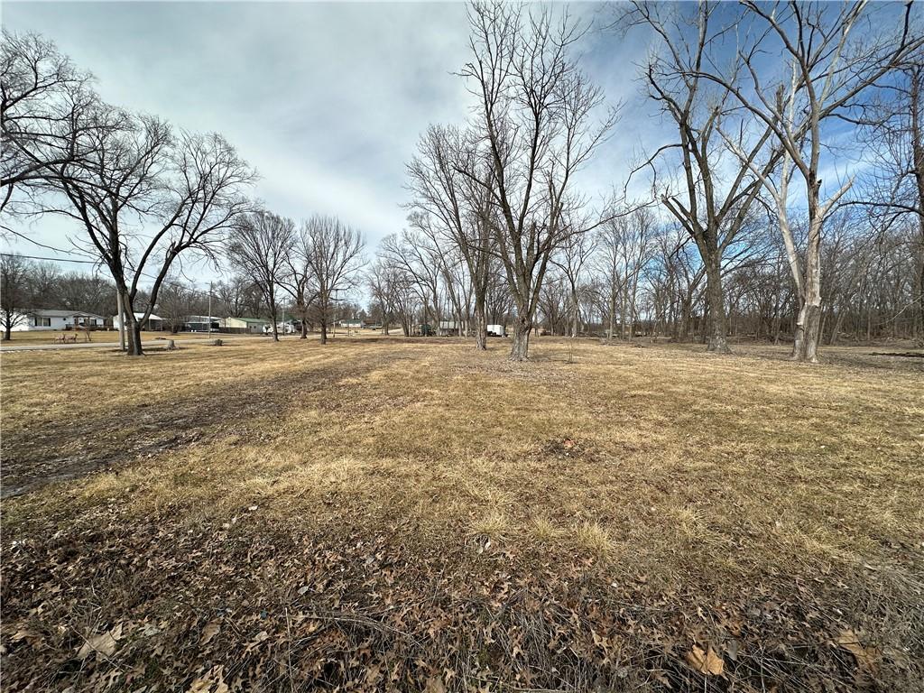 Listing Photo MLS #HMS2532357