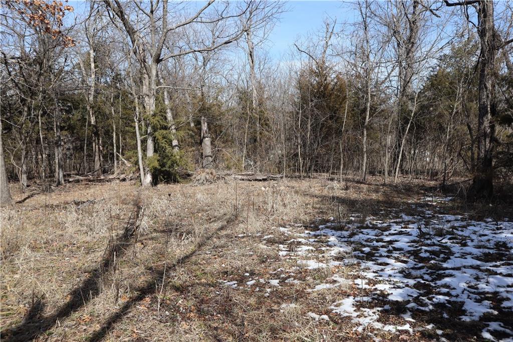 Listing Photo MLS #HMS2532868