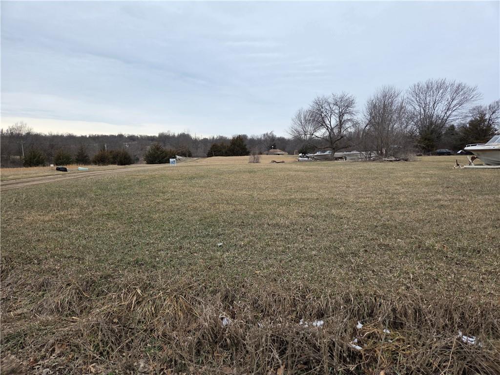 Listing Photo MLS #HMS2534364