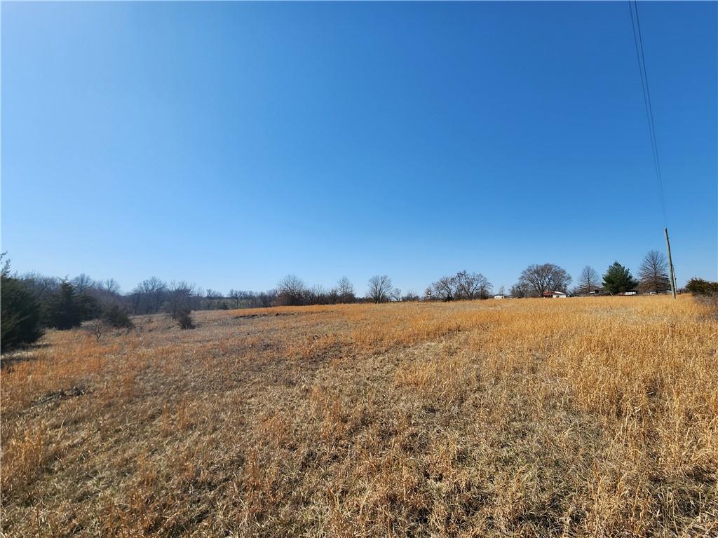 Listing Photo MLS #HMS2535832