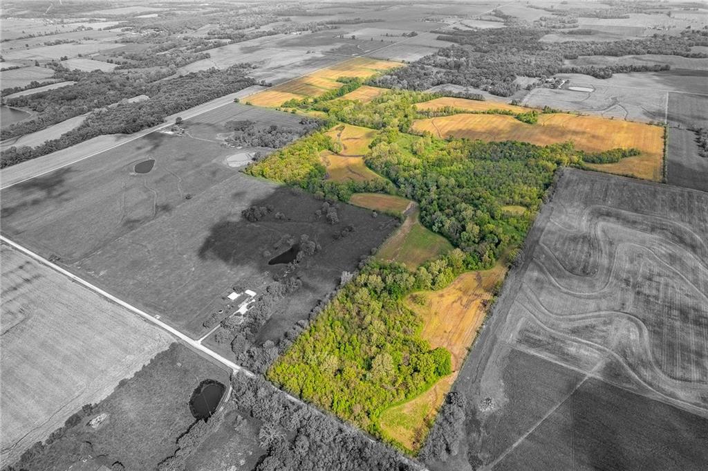 Listing Photo MLS #HMS2536202