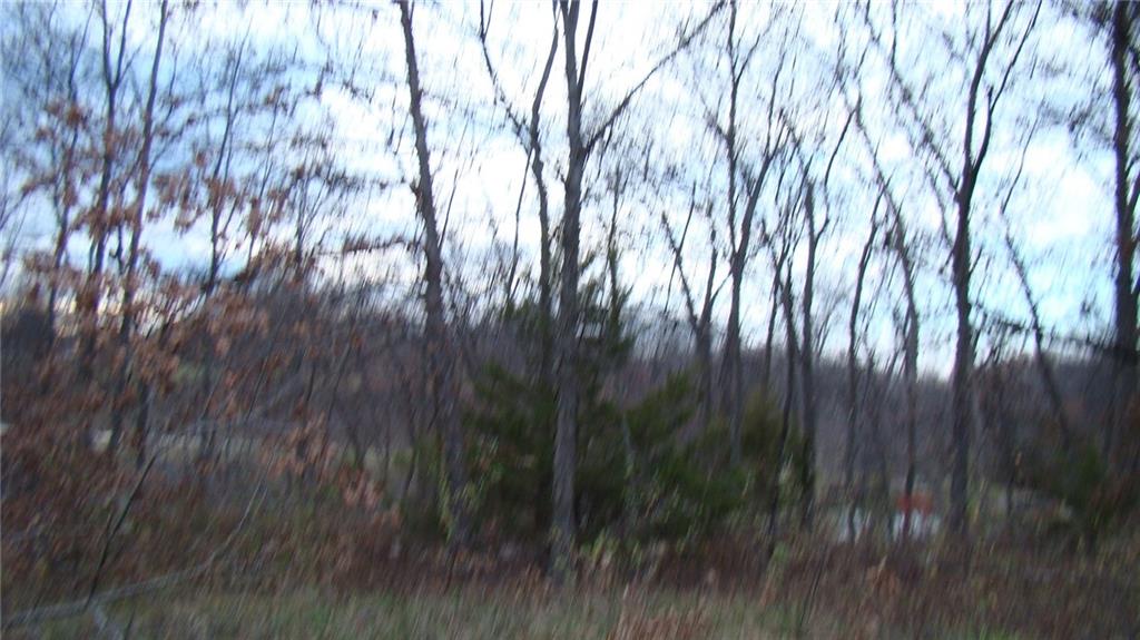 Listing Photo MLS #HMS2536494