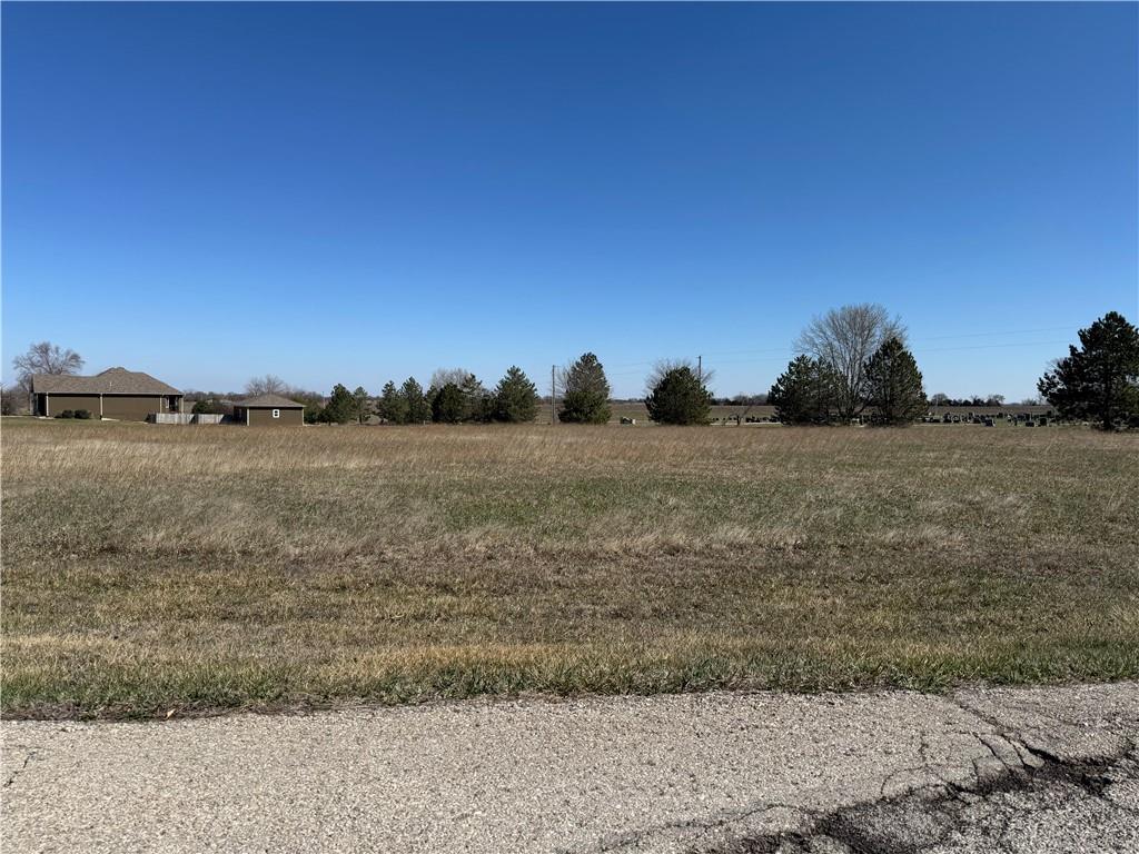 Listing Photo MLS #HMS2537043
