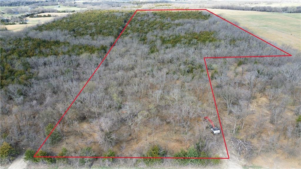 Listing Photo MLS #HMS2538399