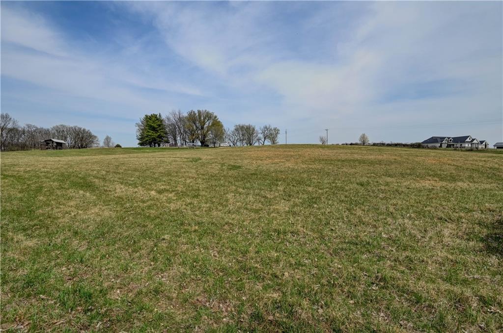 Listing Photo MLS #HMS2539007