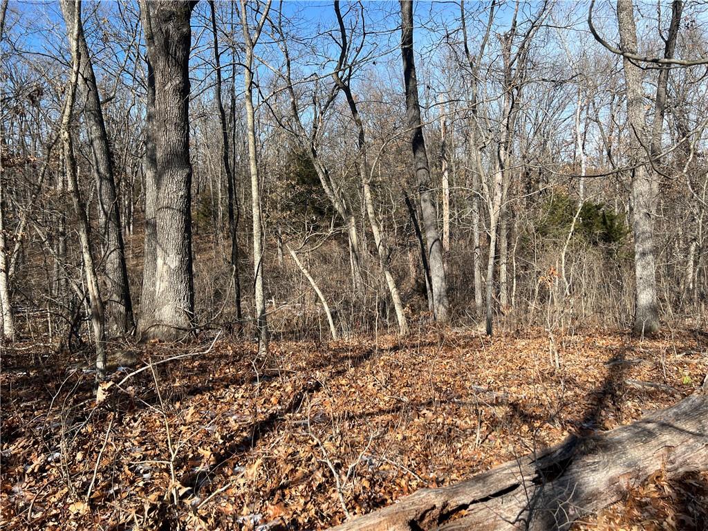 Listing Photo MLS #HMS2541249