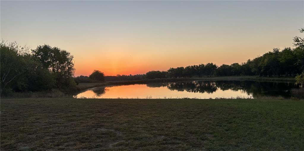 Listing Photo MLS #HMS2541552