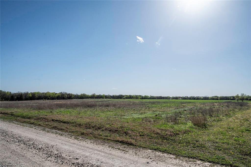 Listing Photo MLS #HMS2542931