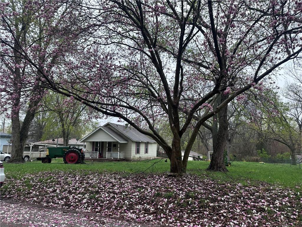 Listing Photo MLS #HMS2543444