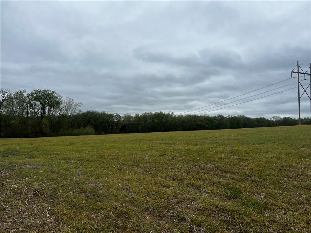 Listing Photo MLS #HMS2543742