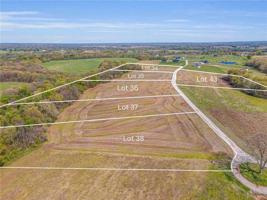 Listing Photo MLS #HMS2544086