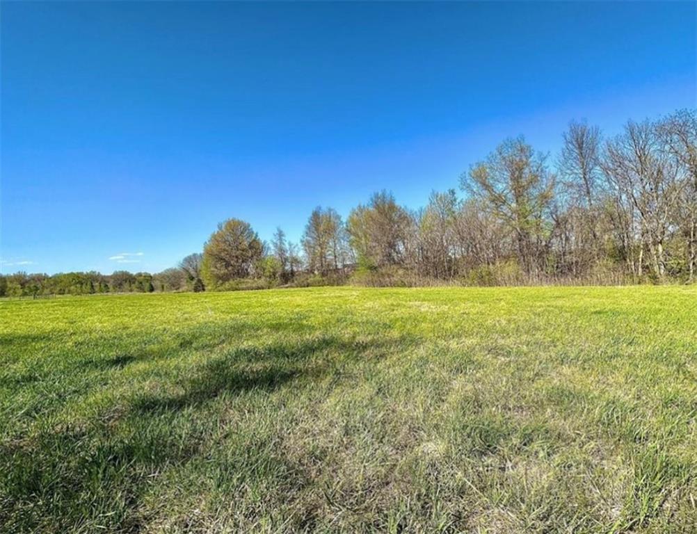 Listing Photo MLS #HMS2544162