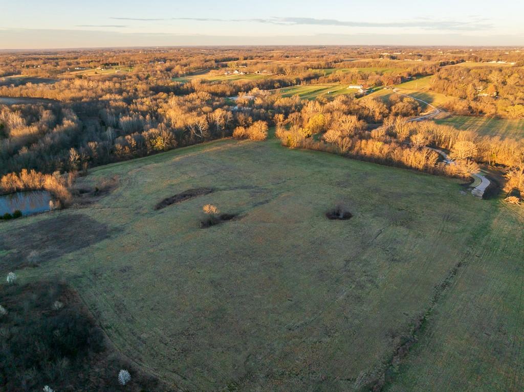 Listing Photo MLS #HMS2544188