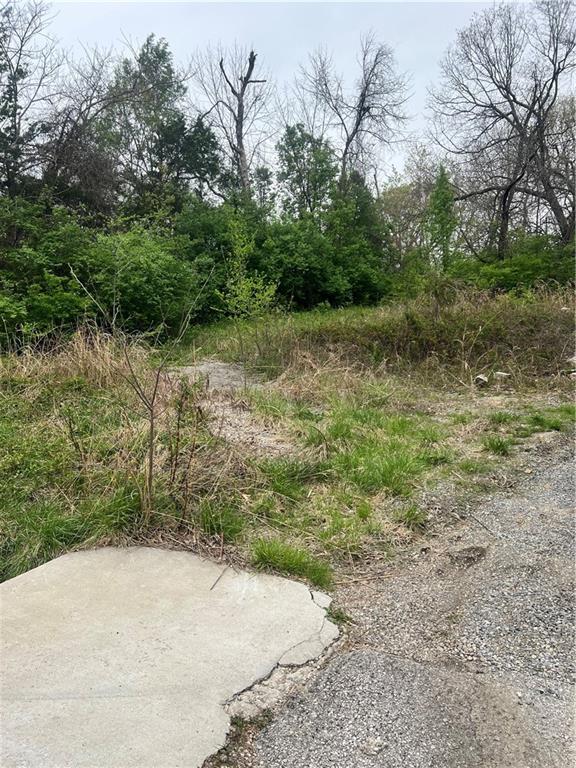 Listing Photo MLS #HMS2544323