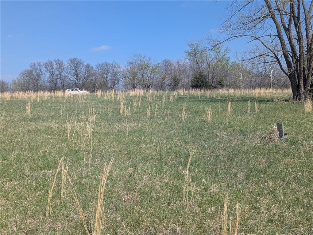 Listing Photo MLS #HMS2544734