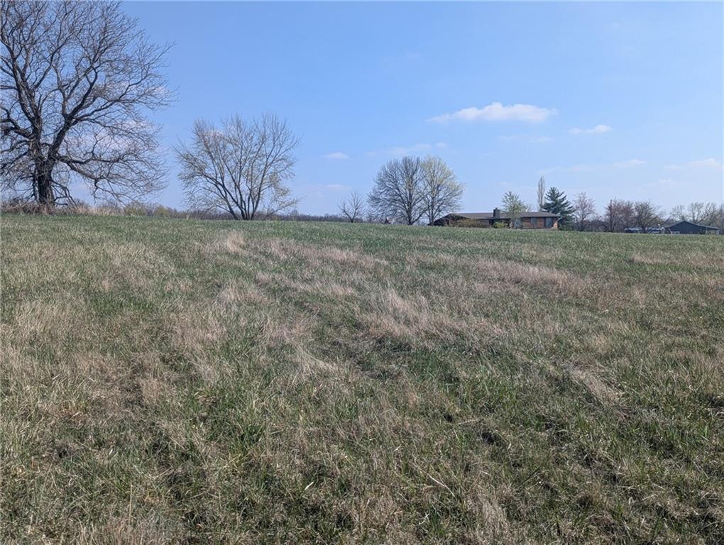 Listing Photo MLS #HMS2544737