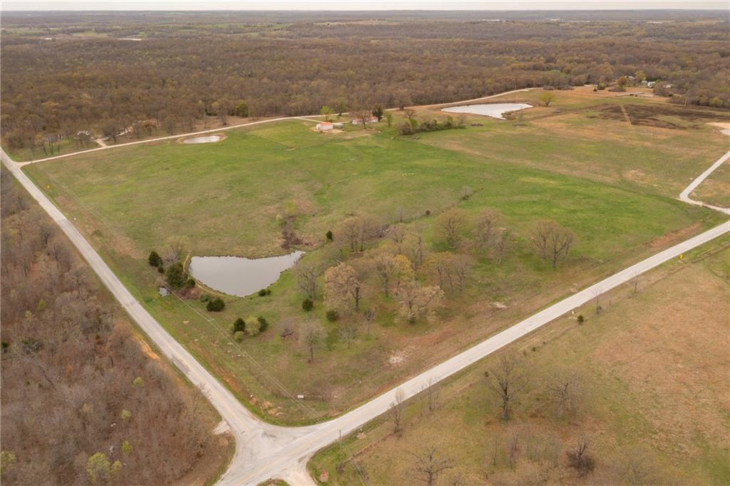 Listing Photo MLS #HMS2544908