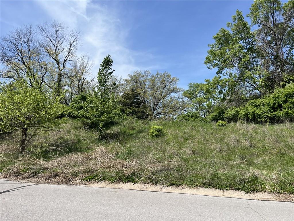 Listing Photo MLS #HMS2545416