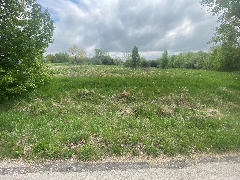 Listing Photo MLS #HMS2545513