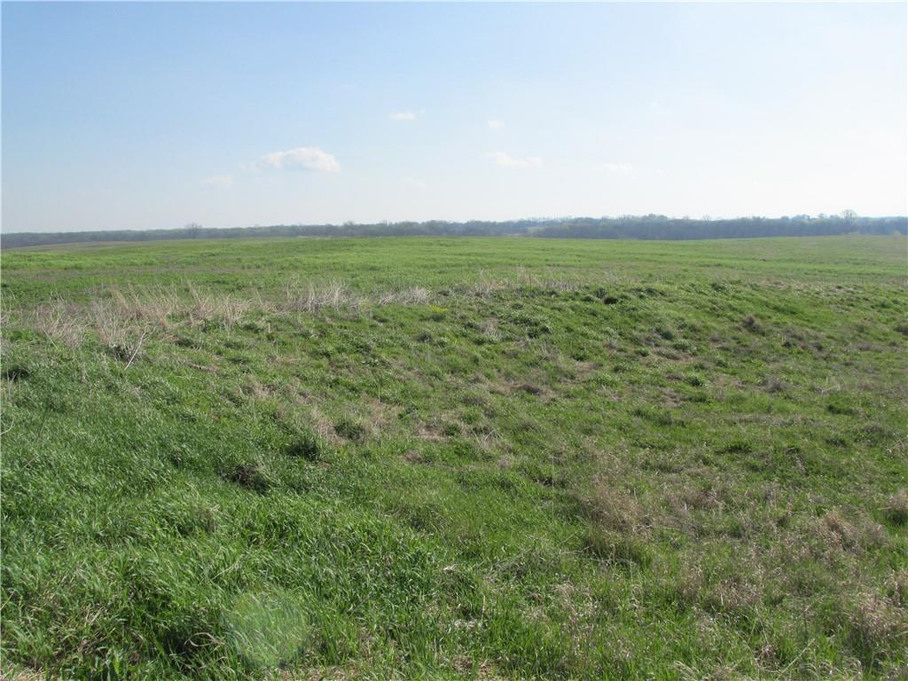 Listing Photo MLS #HMS2545632
