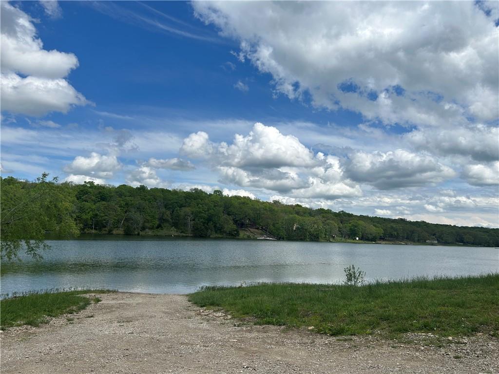 Listing Photo MLS #HMS2545742