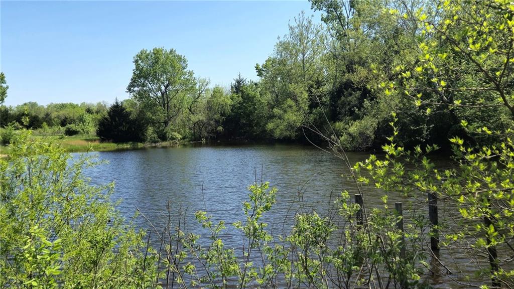 Listing Photo MLS #HMS2545940