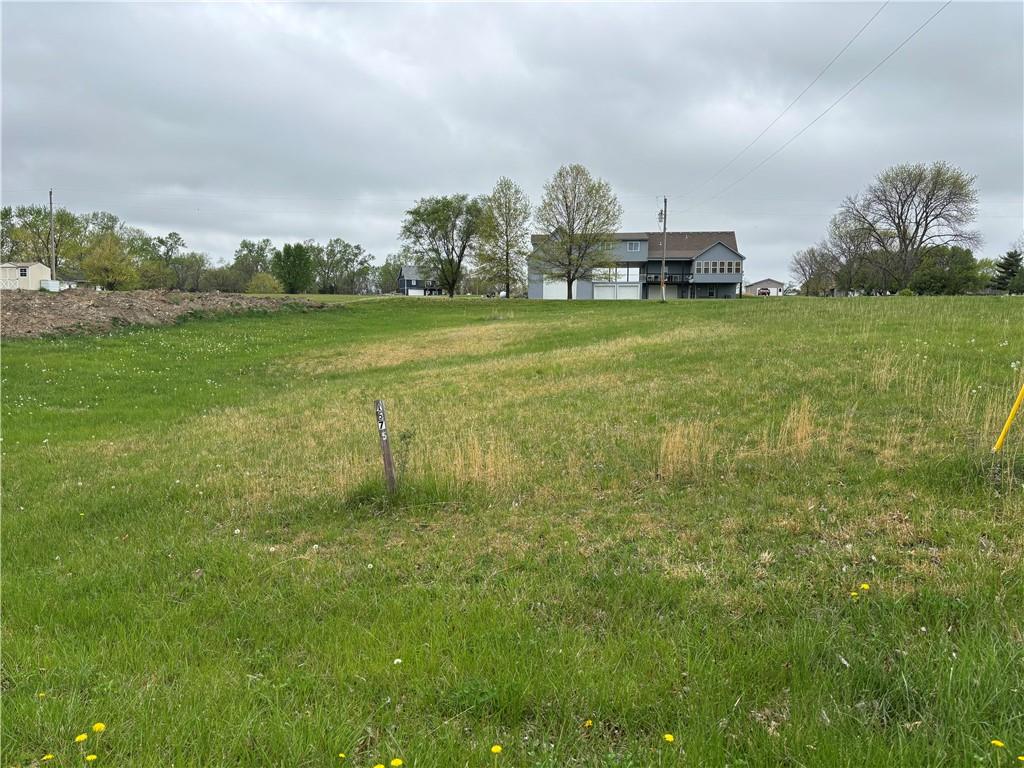 Listing Photo MLS #HMS2546008