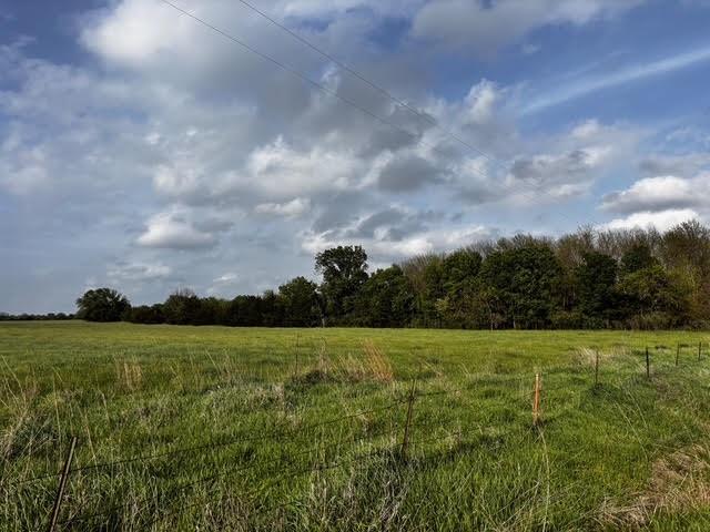 Listing Photo MLS #HMS2546315