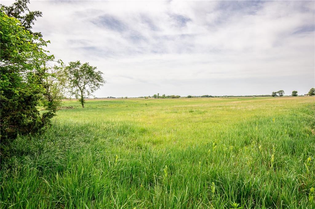 Listing Photo MLS #HMS2546739