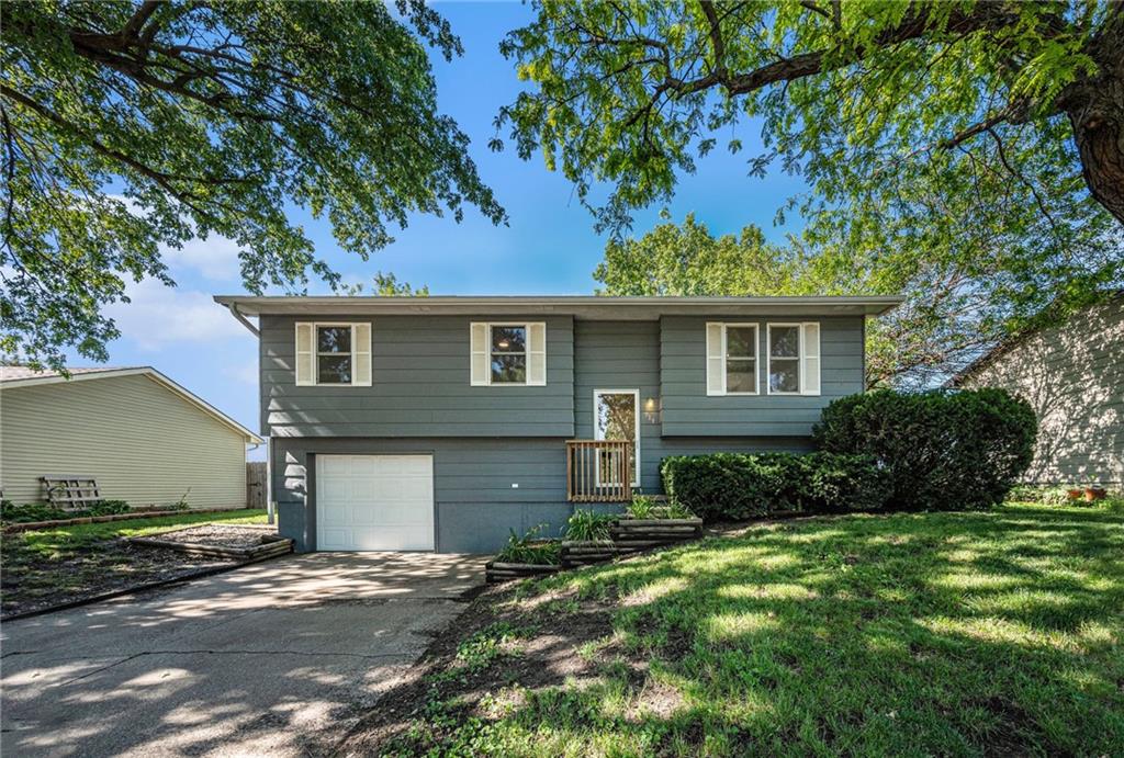 Listing Photo MLS #HMS2546788