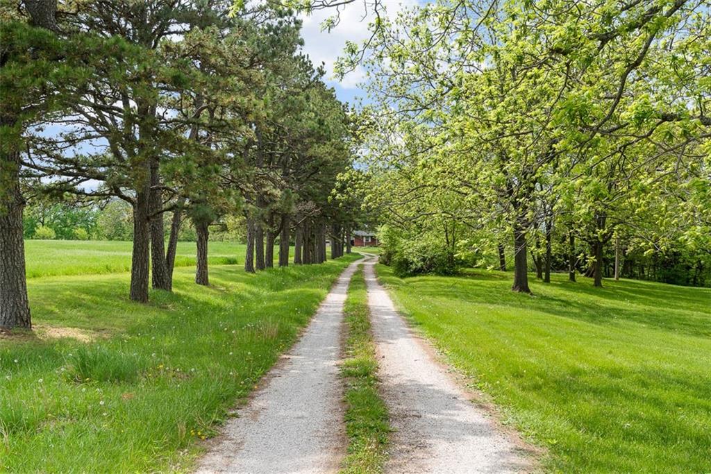 Listing Photo MLS #HMS2547099