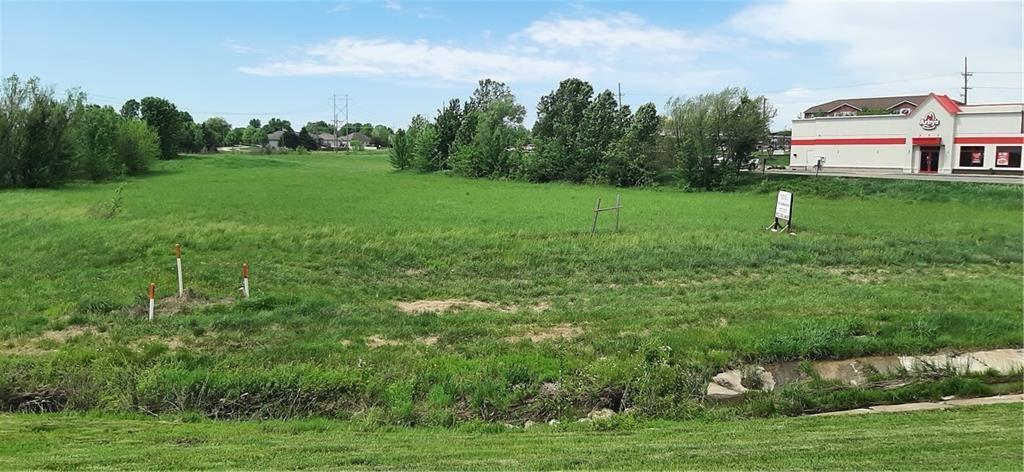 Listing Photo MLS #HMS2547468