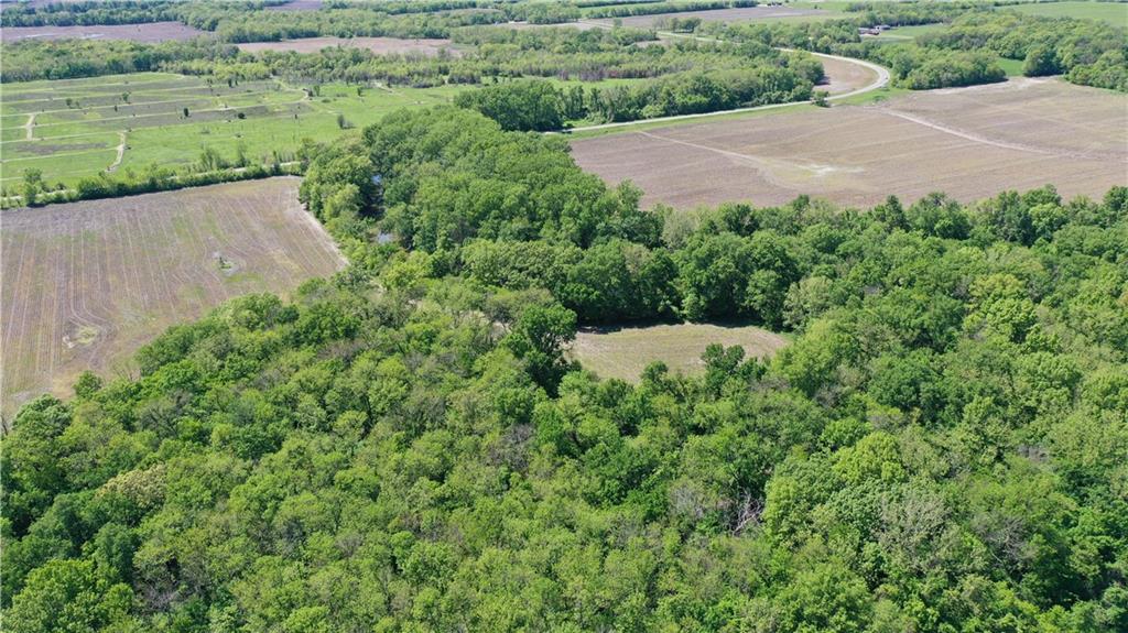 Listing Photo MLS #HMS2547723