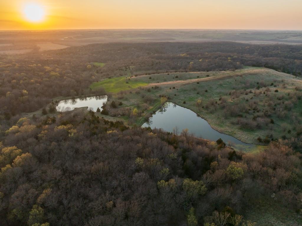 Listing Photo MLS #HMS2547816