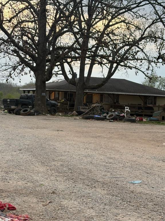 Listing Photo MLS #HMS2547855