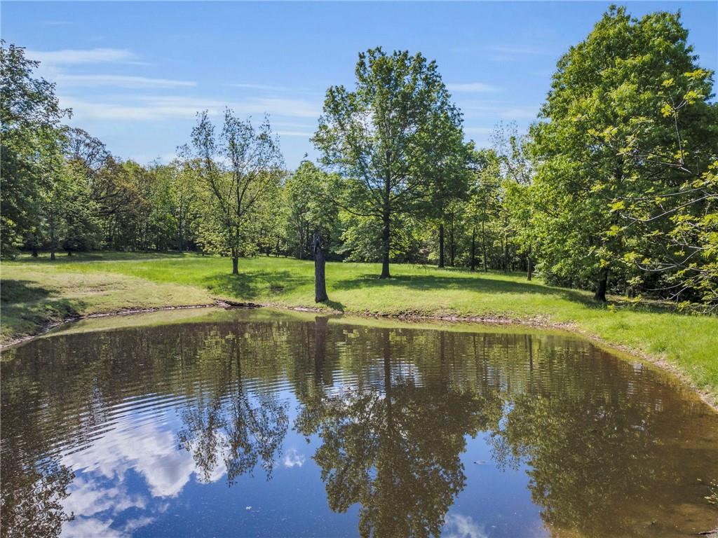 Listing Photo MLS #HMS2548045
